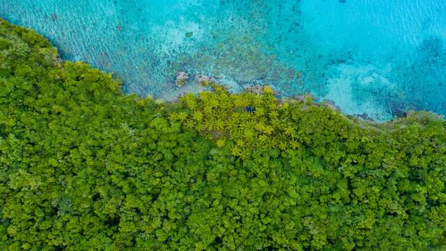 Lifou nature hike