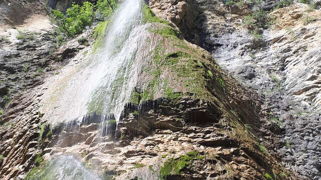 Luizet-Wasserfall, ENS de l'Ain