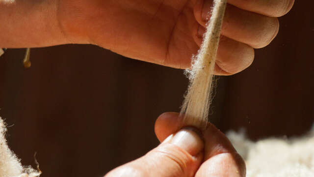 Workshop to create felted wool flowers at Ferme du Lambert