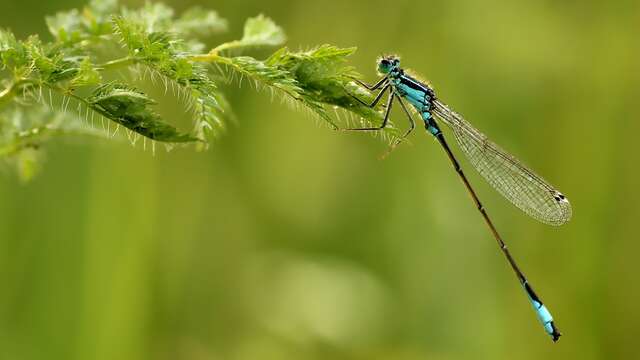 Stage "Petit Naturaliste"