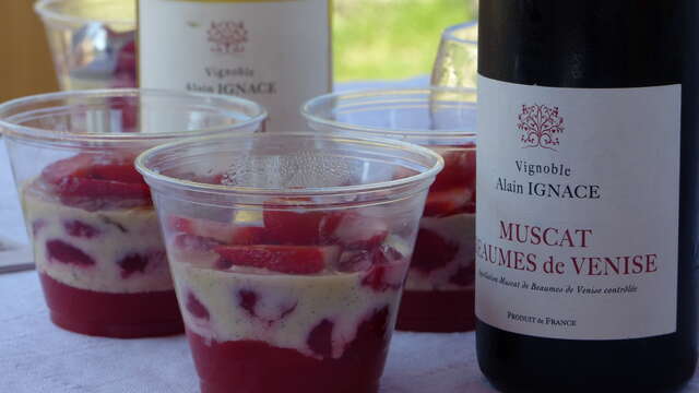 Découverte et dégustation au Vignoble Alain Ignace