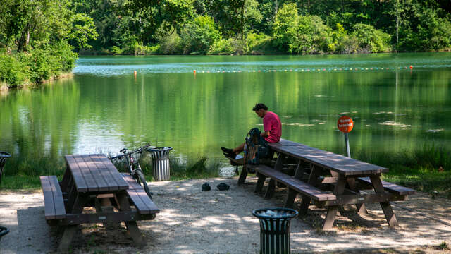 Picnic area of La Petite Anse