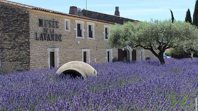 Lavendelmuseum Luberon