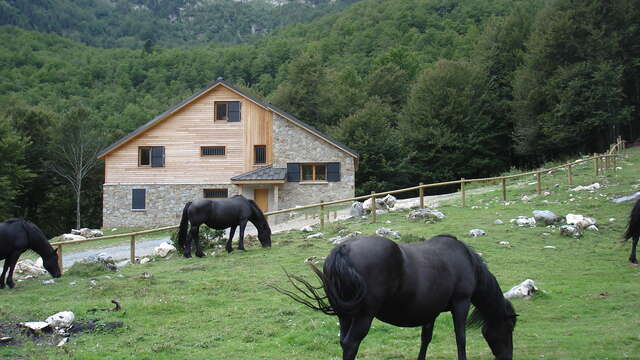 Gîte forestier de Terre d'Avenir