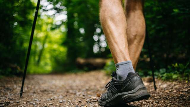 Parcourez le Parc de la Source Volvic