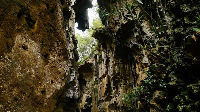 Devil's Cave Tour