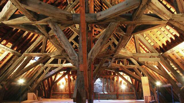 Visite - Altitude Jazz Festival: les coulisses de la collégiale