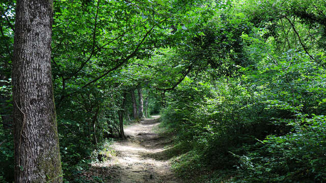 Par les croix bleue et rouge