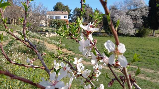 Au temps des secrets