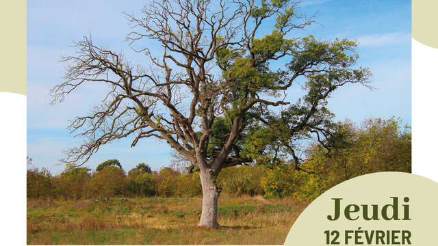 Environmental conference: "Communication between plants".