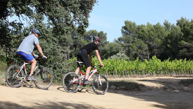 Rognes : Caireval - circuit VTT 4