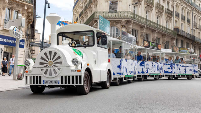 The Tourist train