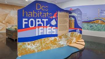Visite guidée de l'exposition "Fortifications"