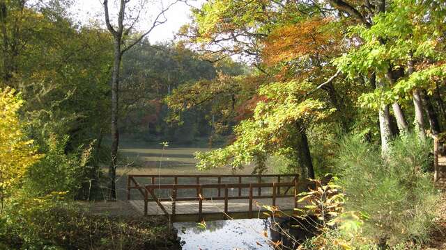 Parcs Saint-Nicolas