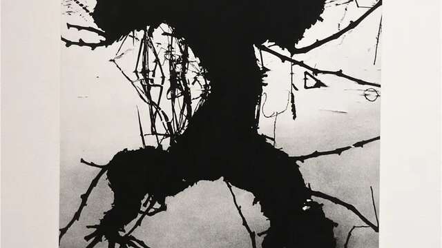 Exposition La Camargue, un autre monde