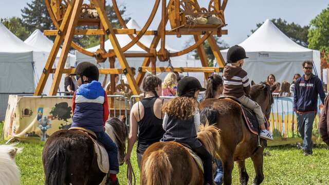Folie(s) Végétales 2026