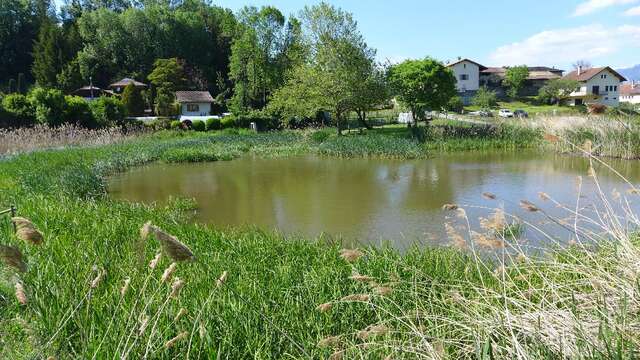 Espace naturel sensible le Marais d'Avalon