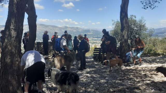 Randonnée avec son chien - Journée