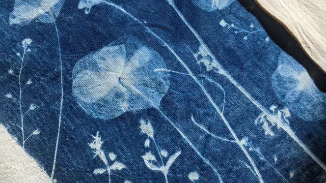 Atelier adulte Cyanotype sur tissu