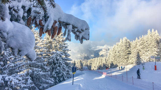 Piste sur neige "La Luge"