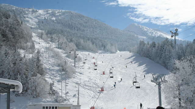 Le bar du sapin