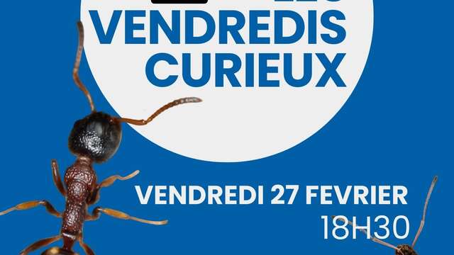 MJC - Les Vendredis Curieux
