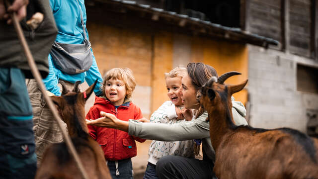 Mont-Blanc Fermes Péda