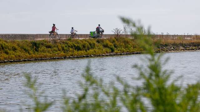 Chemin gourmand de la presqu'île à vélo