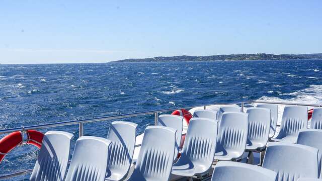 Transport maritime Ile de Proquerolles by les Bateaux Bleus