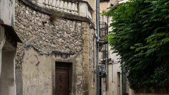 Cycle de visites guidées "Avignon à travers l'Histoire"