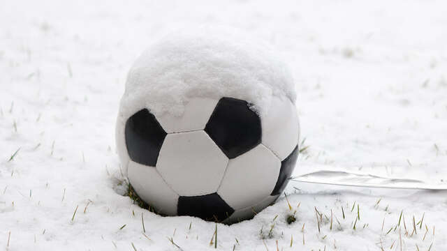 Snow foot