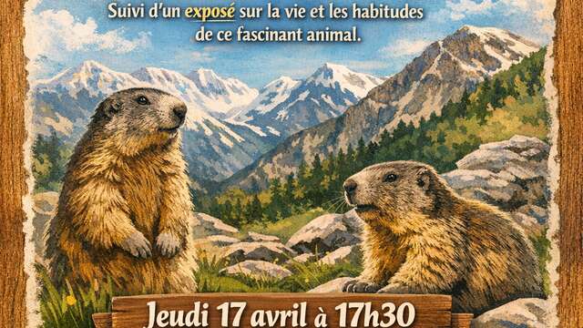 Projection et échanges sur les marmottes