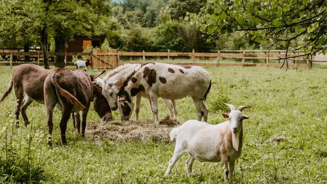 SOS Animaux de la ferme pédagogique