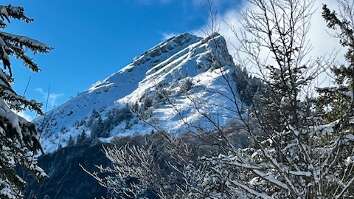 Sortie raquettes collectives -1/2 journée -Crête et Combes du Col de Porte