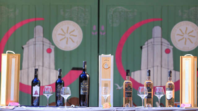 Vignoble Cap Saint-Pierre