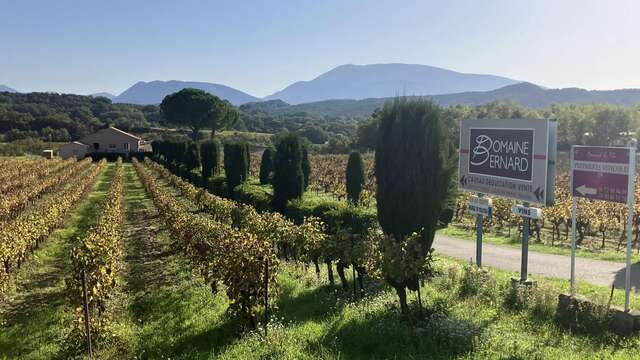 Balade Gourmande et Paëlla dans les vignes