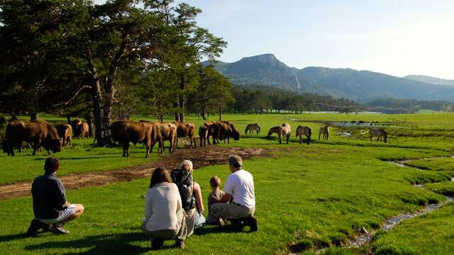 Riserva Biologica dei "Monts d'Azur"