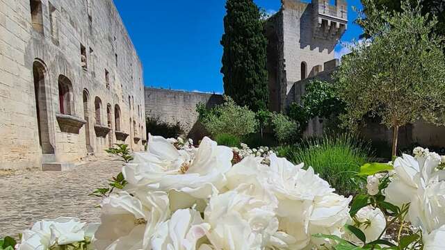 Château de Tarascon