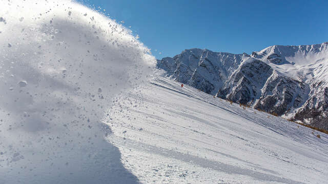 Sensibilisation neige et avalanches et dérangement de la faune