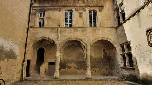 Balade thématique : Les trésors des périodes Renaissance et classique