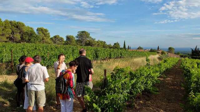 Visite guidée du Clos de Caveau