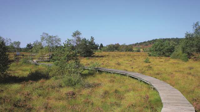 Les Tourbières du Plateau de la Verrerie