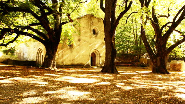 Notre-Dame de Lure