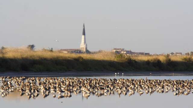Schnitzeljagd: „Auf den Spuren von Lilleau“