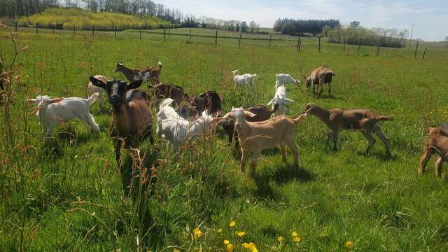 La Chèvrerie de Biadet