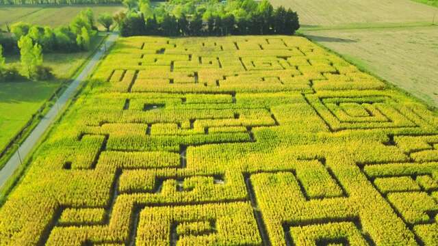 Labyrinth les Hautes Herbes