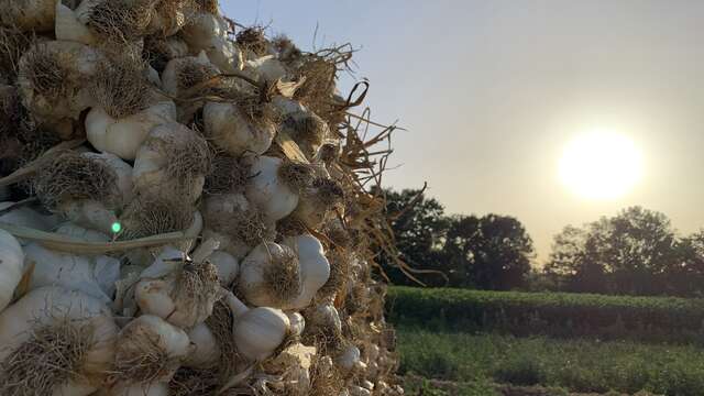 Balade à la Ferme du Lavoir des Puys