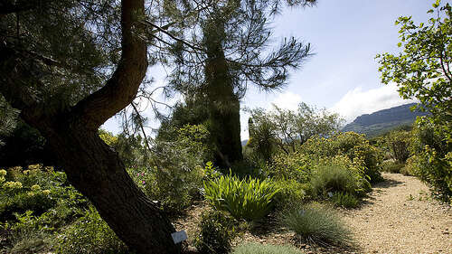 Jardin botanique - Sanoflore