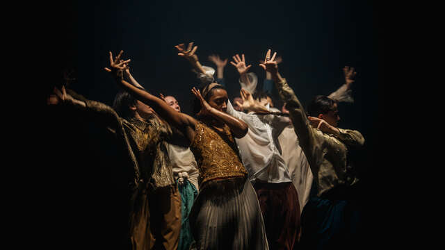 Danse - Hofesh Schechter "In the brain"