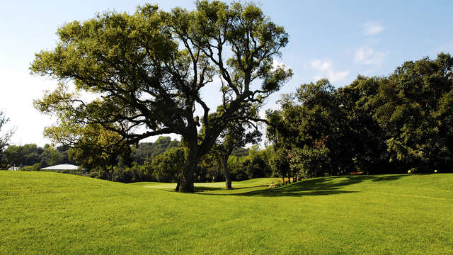 The Provençal Golf